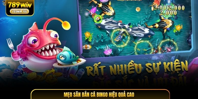 Mẹo săn bắn cá Bingo hiệu quả cao
