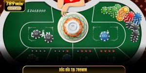 Hướng dẫn chi tiết xóc đĩa